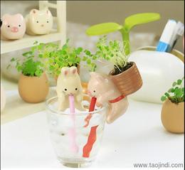 小盆栽迷你植物批發 尋找可靠的廠家貨源與供應信息