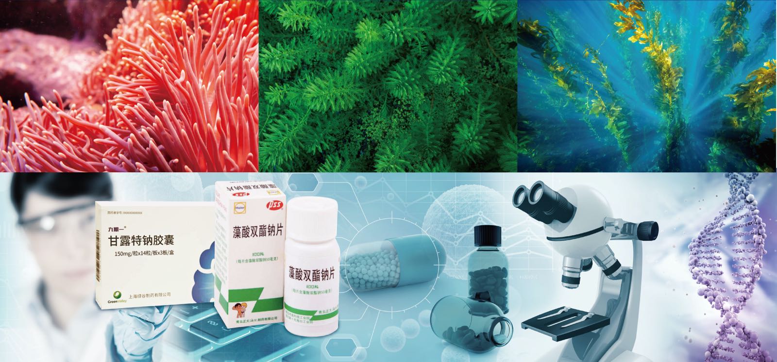 華大海洋 以企業(yè)擔(dān)當(dāng)引領(lǐng)海洋生物醫(yī)藥研發(fā)與生物制品創(chuàng)新