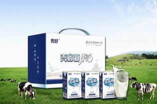 衛(wèi)康 以科技創(chuàng)新驅(qū)動(dòng)健康事業(yè)，引領(lǐng)甲殼素農(nóng)業(yè)肥料新潮流