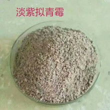 微生物肥料價格走勢與市場動態 聚焦農化網第三頁批發報價及甲殼素農業肥料研發銷售新趨勢